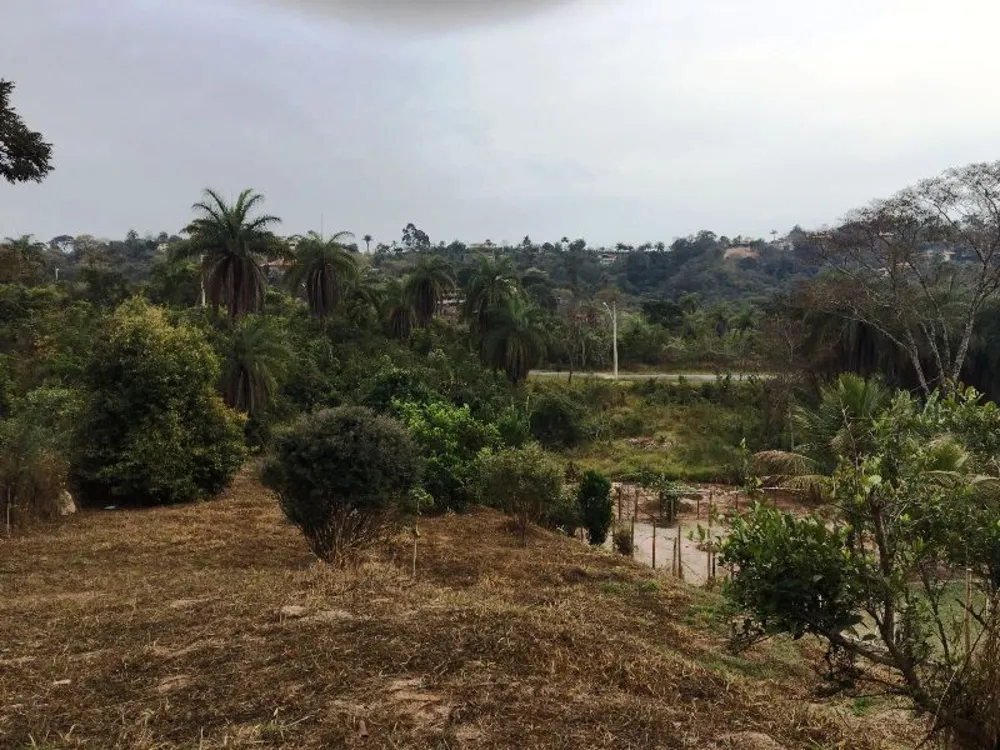 Terreno, 1200 m² - Foto 1