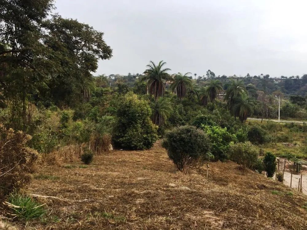 Terreno, 1200 m² - Foto 3
