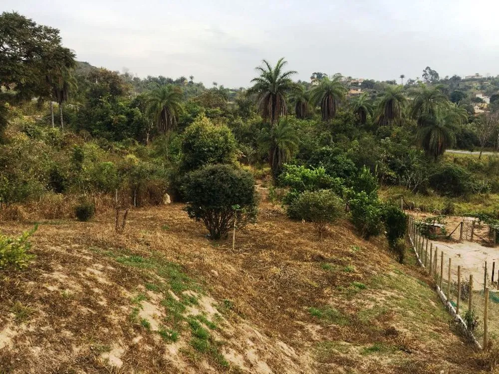 Terreno, 1200 m² - Foto 4