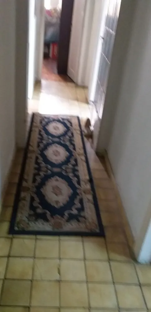 Casa, 5 quartos, 120 m² - Foto 18