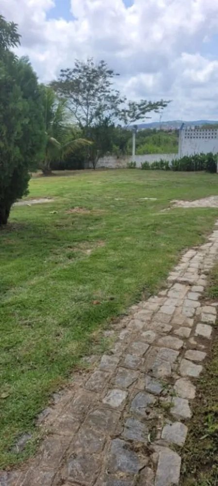 Chácara, 6 quartos - Foto 7