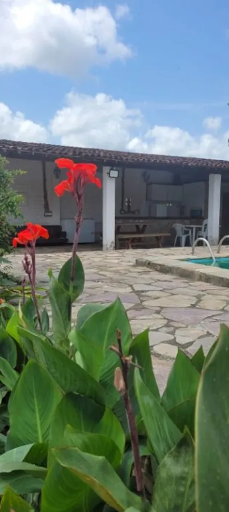 Chácara, 6 quartos - Foto 4