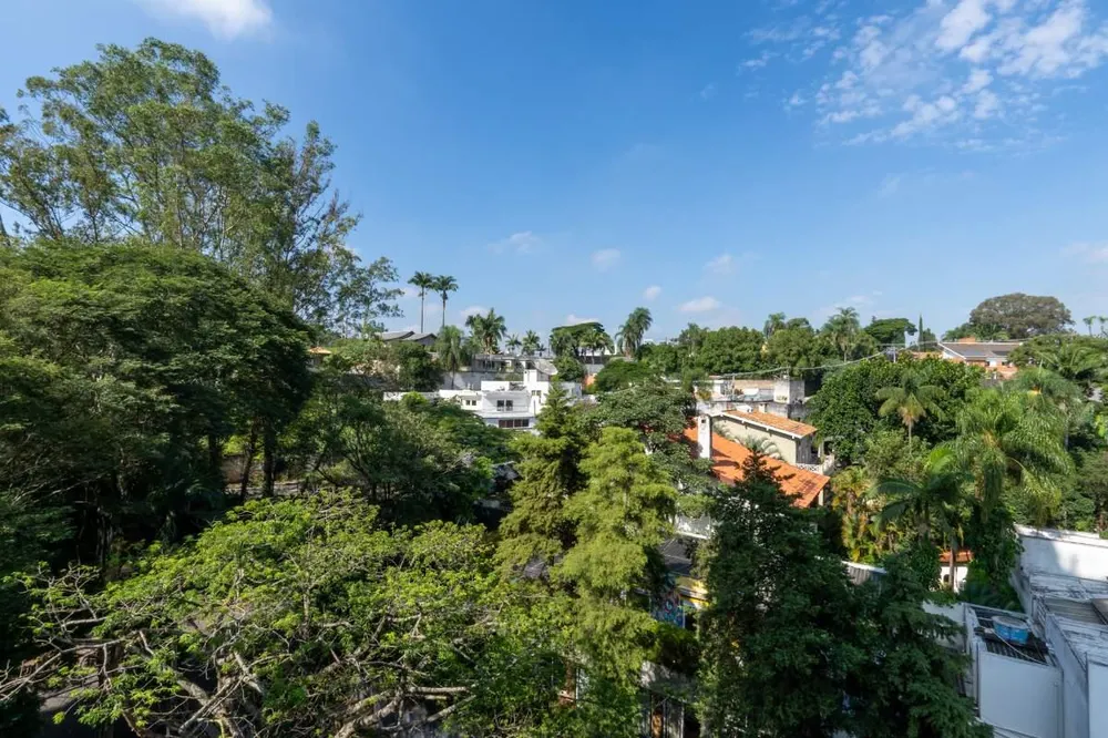 Apartamento, 3 quartos, 411 m² - Foto 5
