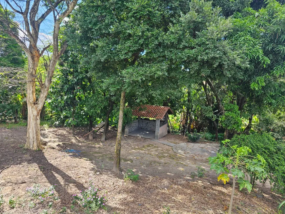 Chácara, 3 quartos, 5200 m² - Foto 5