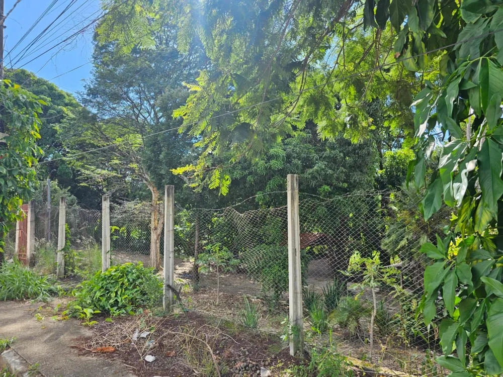 Chácara, 3 quartos, 5200 m² - Foto 1