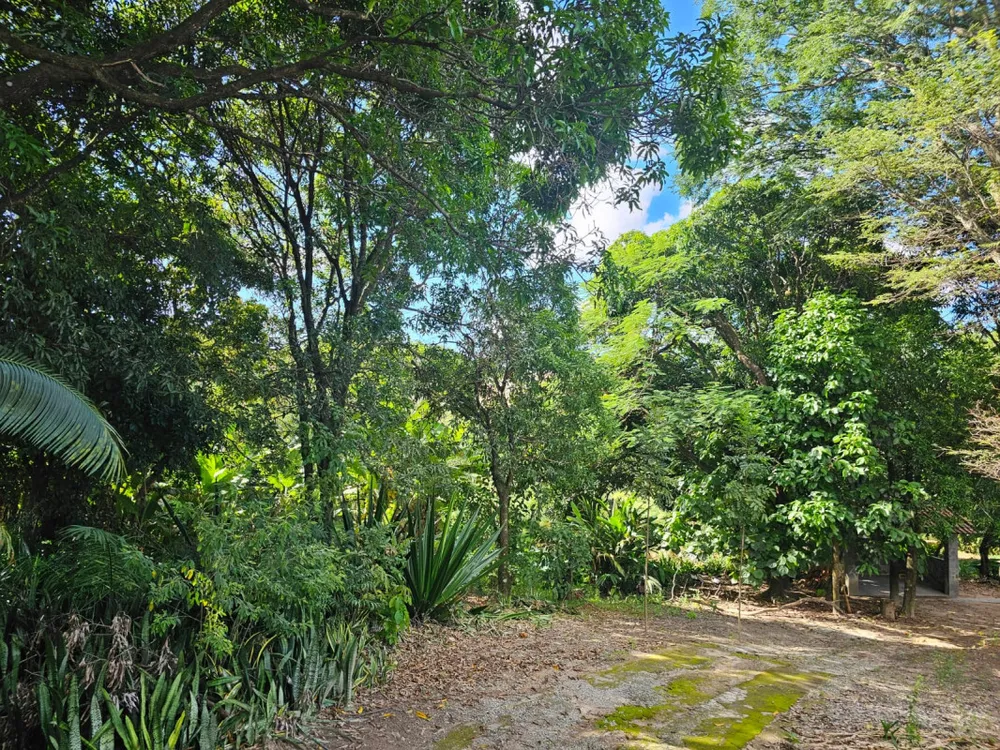 Chácara, 3 quartos, 5200 m² - Foto 6