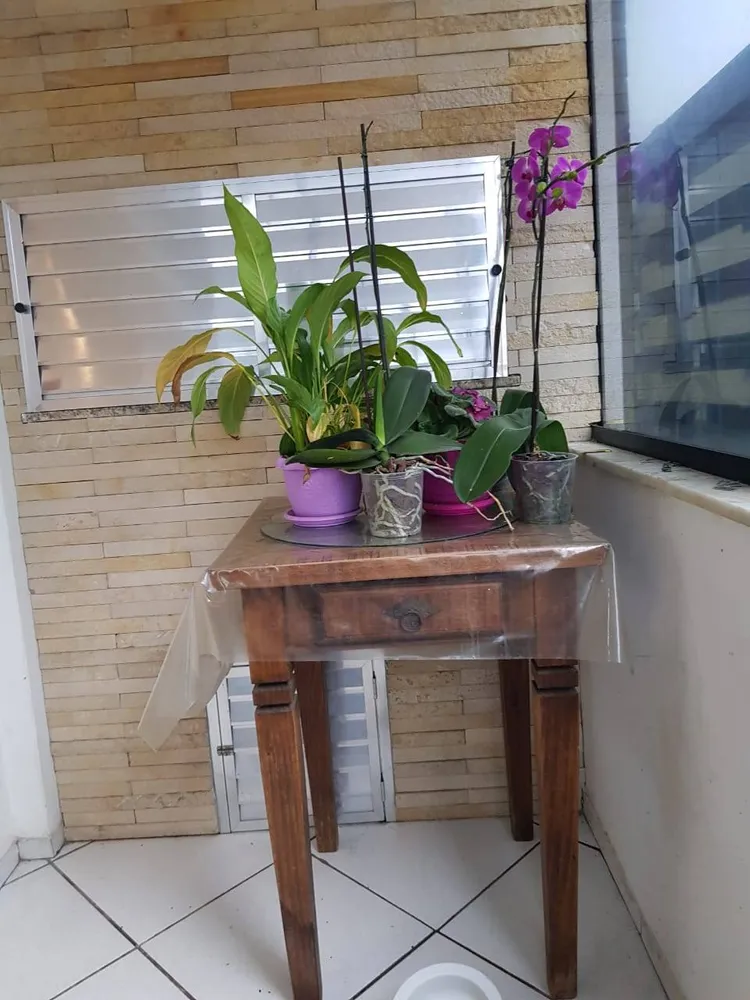 Apartamento, 2 quartos - Foto 13