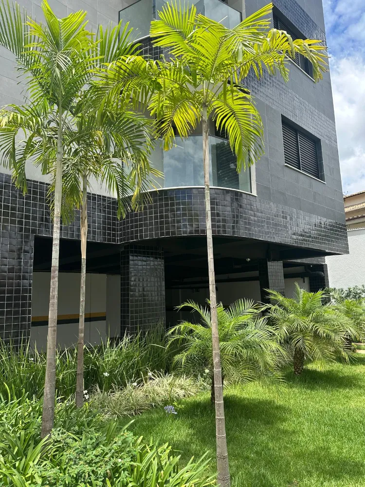 Chácara, 4 quartos - Foto 12