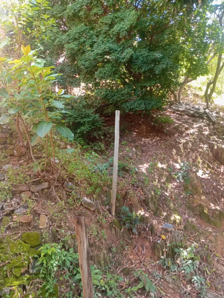 Casa, 3 quartos, 300 m² - Foto 12