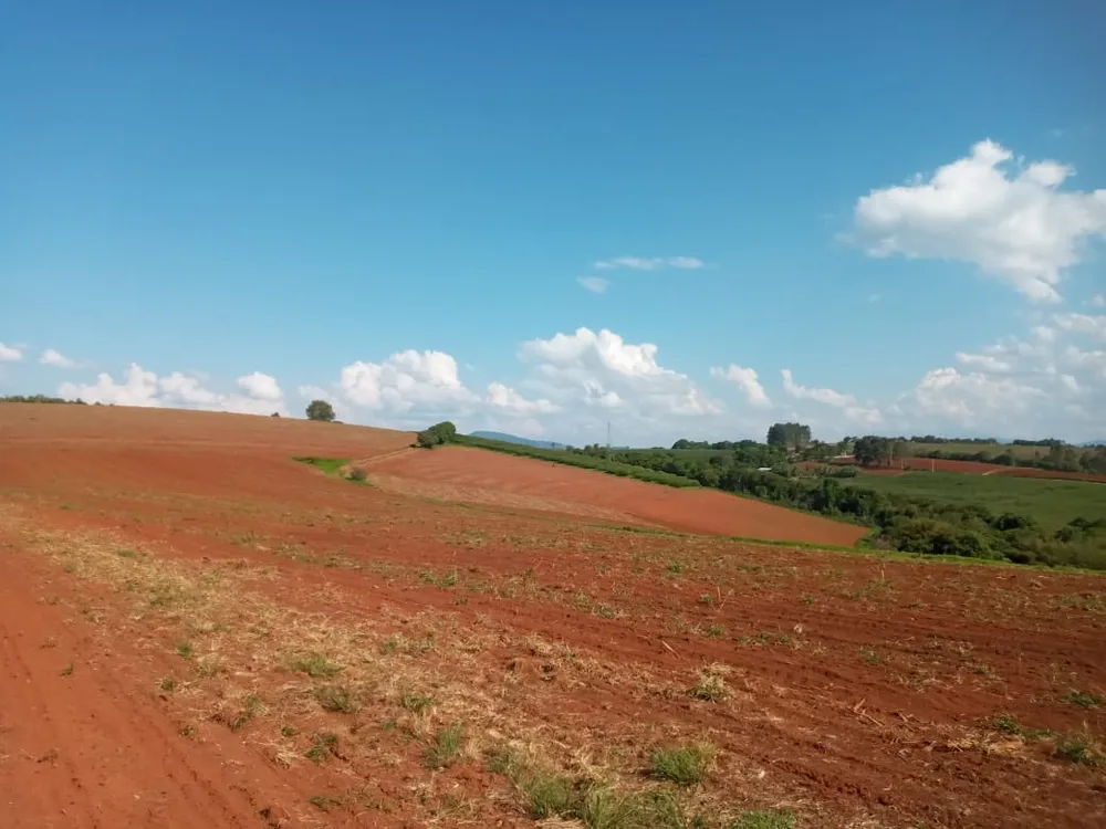Terreno, 40 hectares - Foto 3
