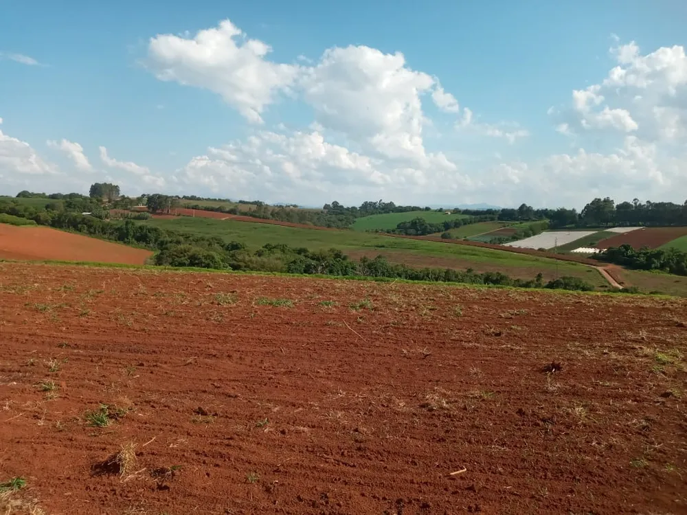 Terreno, 40 hectares - Foto 4