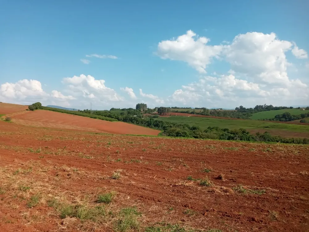 Terreno, 40 hectares - Foto 1