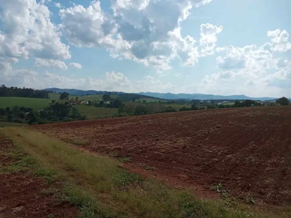 Terreno, 40 hectares - Foto 2
