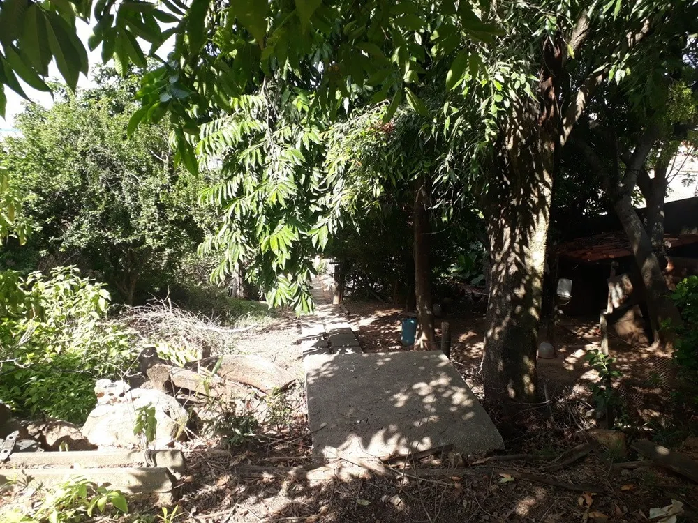 Terreno, 650 m² - Foto 9