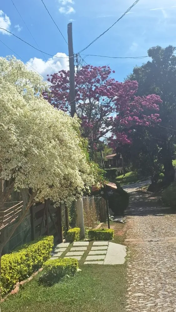 Terreno, 420 m² - Foto 12