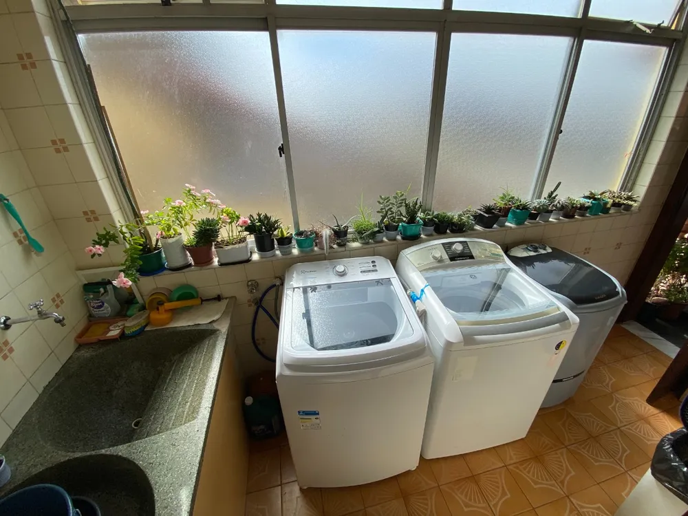 Casa, 4 quartos, 280 m² - Foto 3