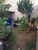 Casa, 3 quartos, 100 m² - Foto 4