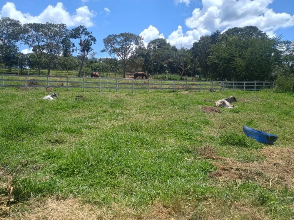 Fazenda, 1 quarto - Foto 12
