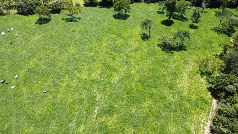 Fazenda, 1 quarto - Foto 13