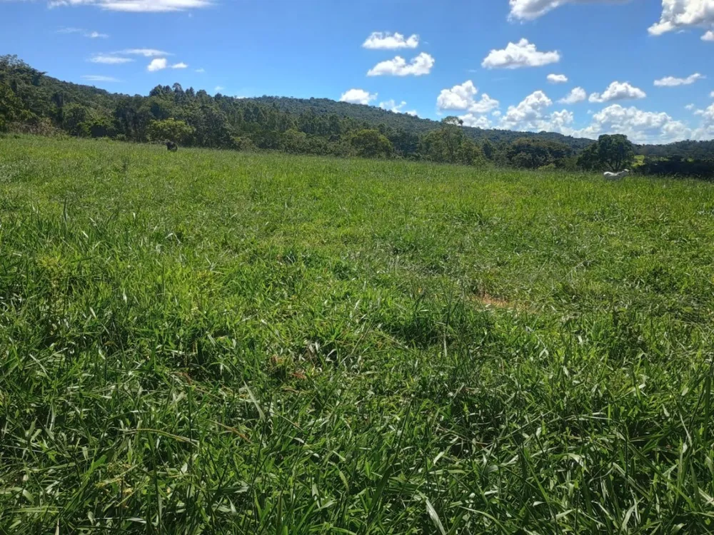 Fazenda, 1 quarto - Foto 7
