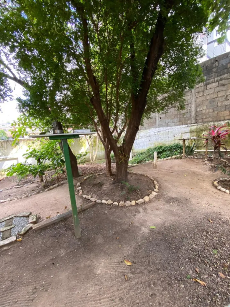 Casa, 4 quartos, 400 m² - Foto 12