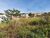 Terreno, 360 m² - Foto 3