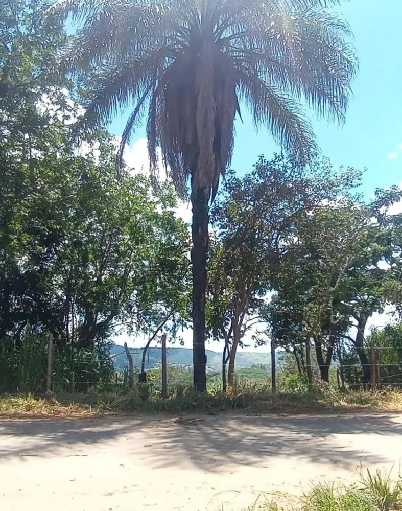 Terreno, 500 m² - Foto 1