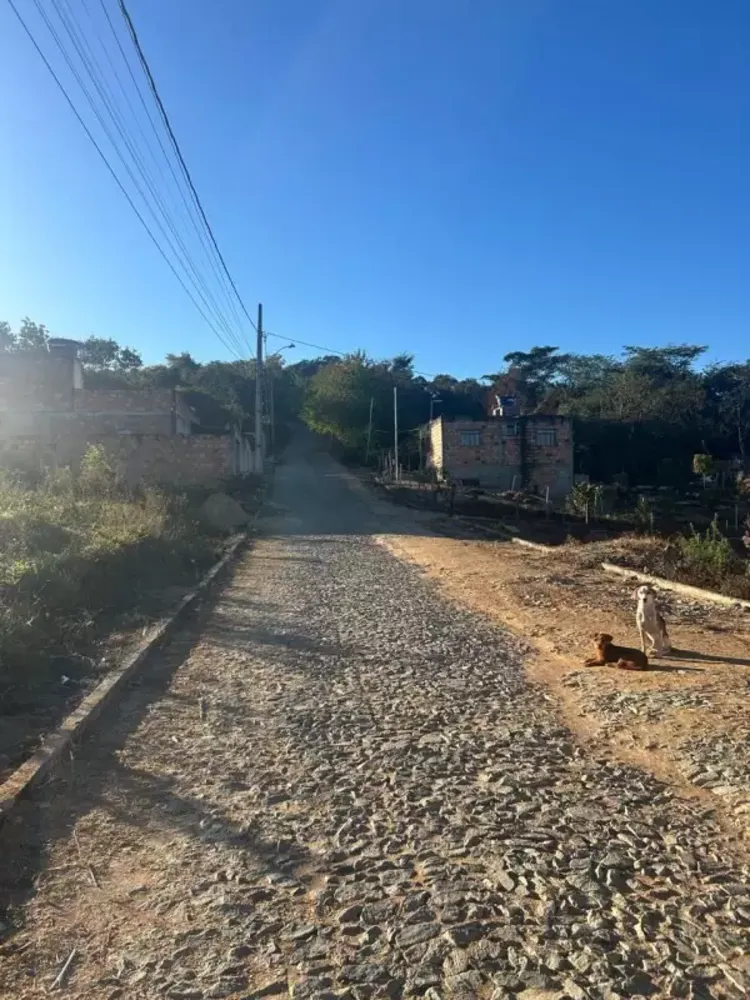 Chácara, 1 quarto - Foto 16
