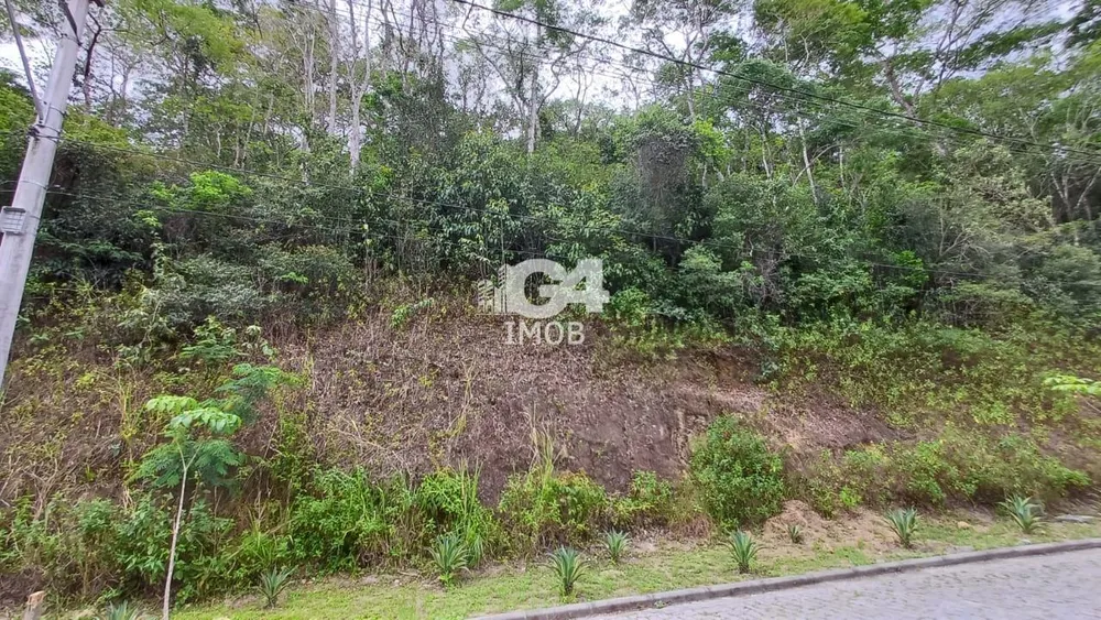 Terreno, 1000 m² - Foto 4