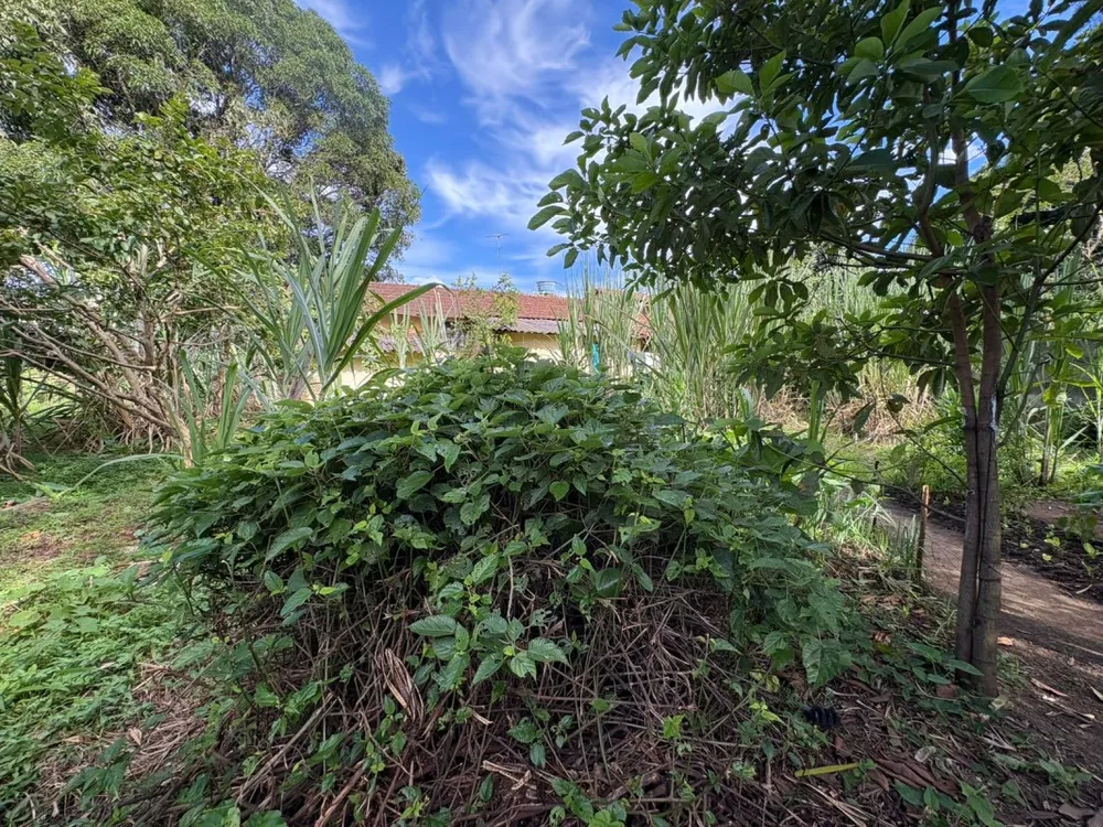 Chácara, 1 quarto, 1050 m² - Foto 8