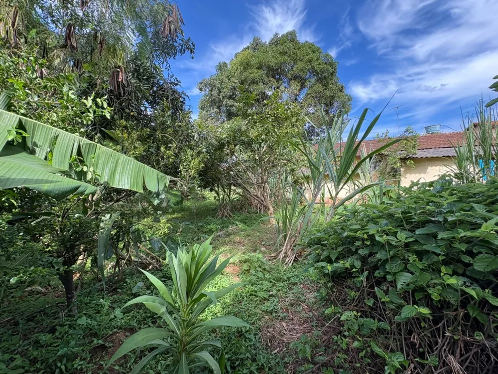 Chácara, 1 quarto, 1050 m² - Foto 1