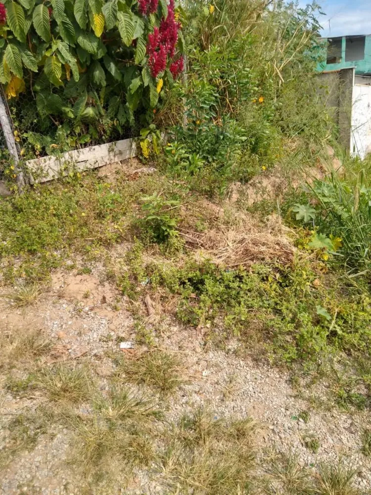 Terreno, 360 m² - Foto 6