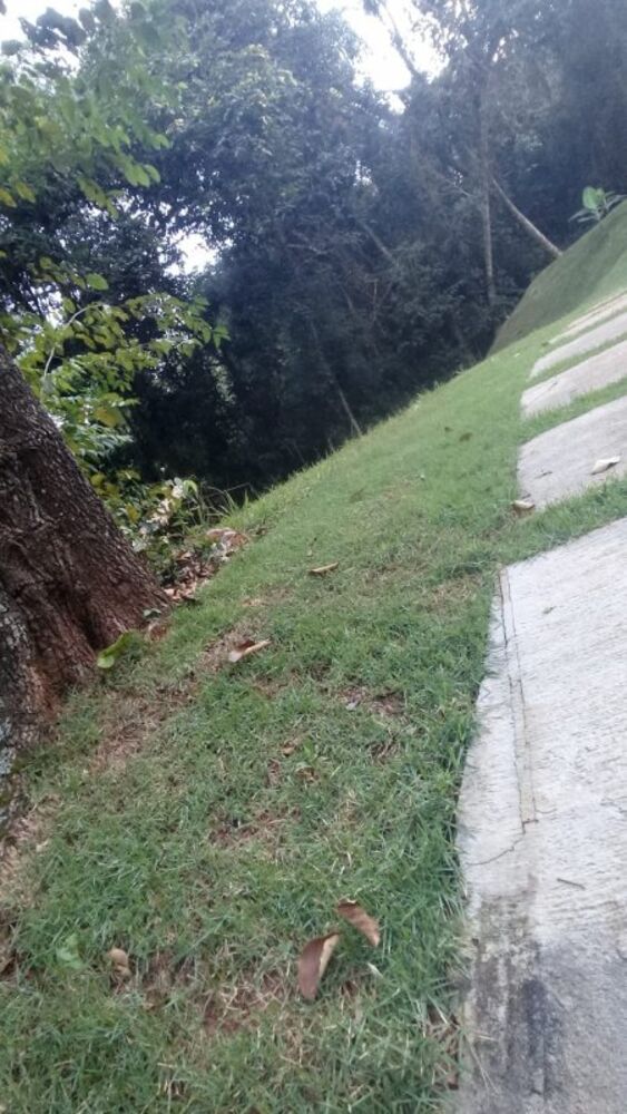 Chácara à venda com 2 quartos, 3500m² - Foto 2