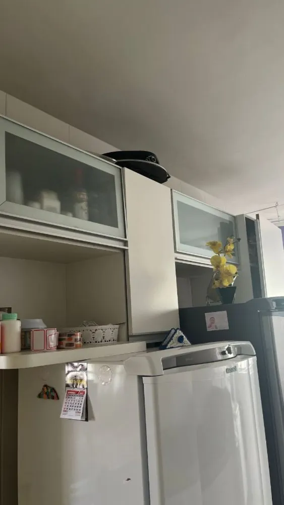Apartamento, 3 quartos, 75 m² - Foto 5