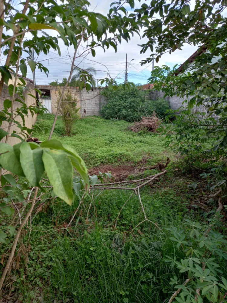 Terreno - Foto 5
