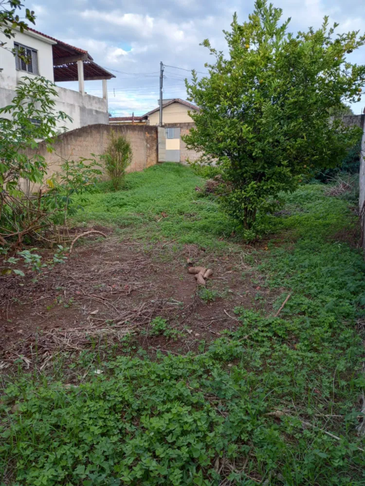 Terreno - Foto 4