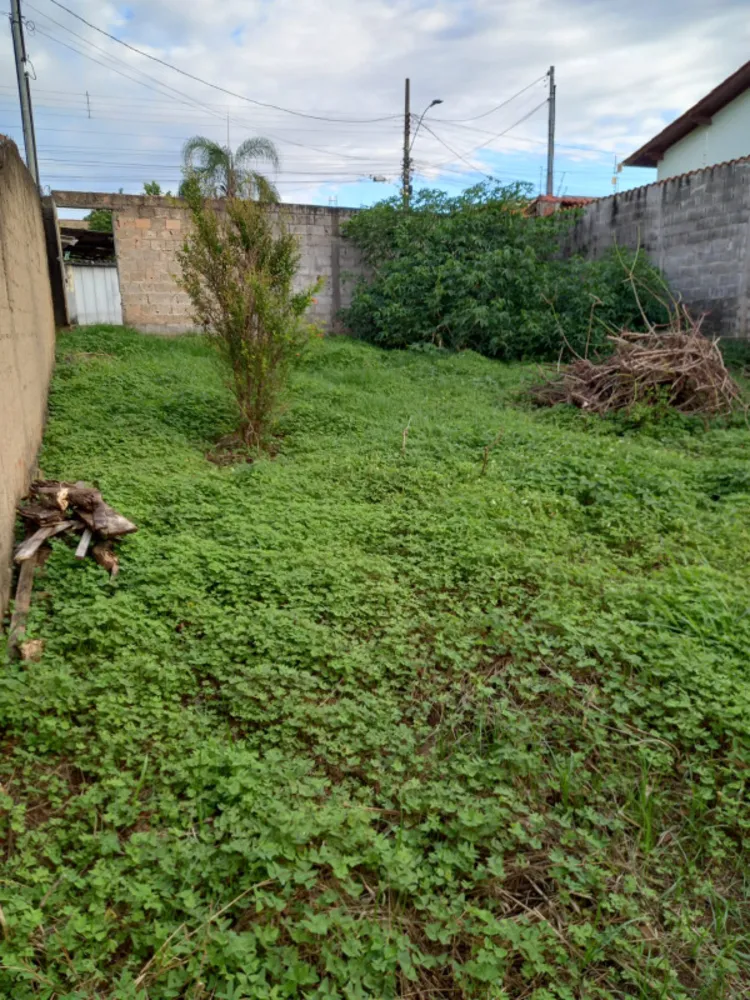 Terreno - Foto 7