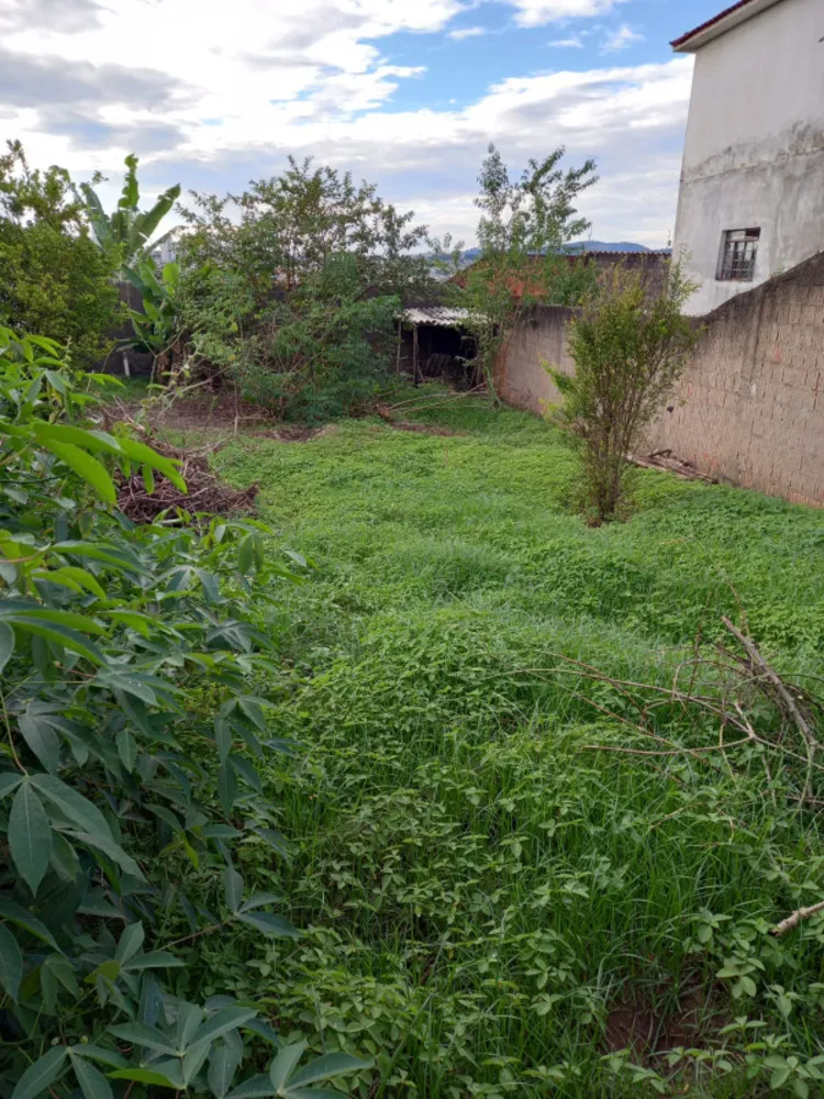Terreno - Foto 2