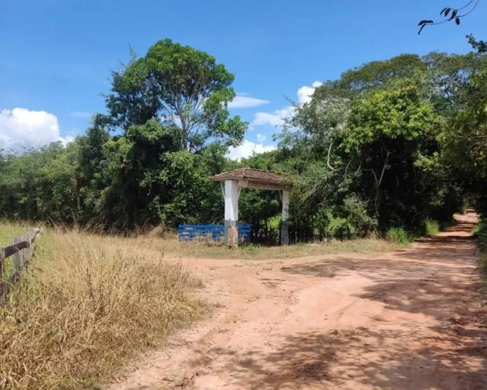 Fazenda, 327 hectares - Foto 9