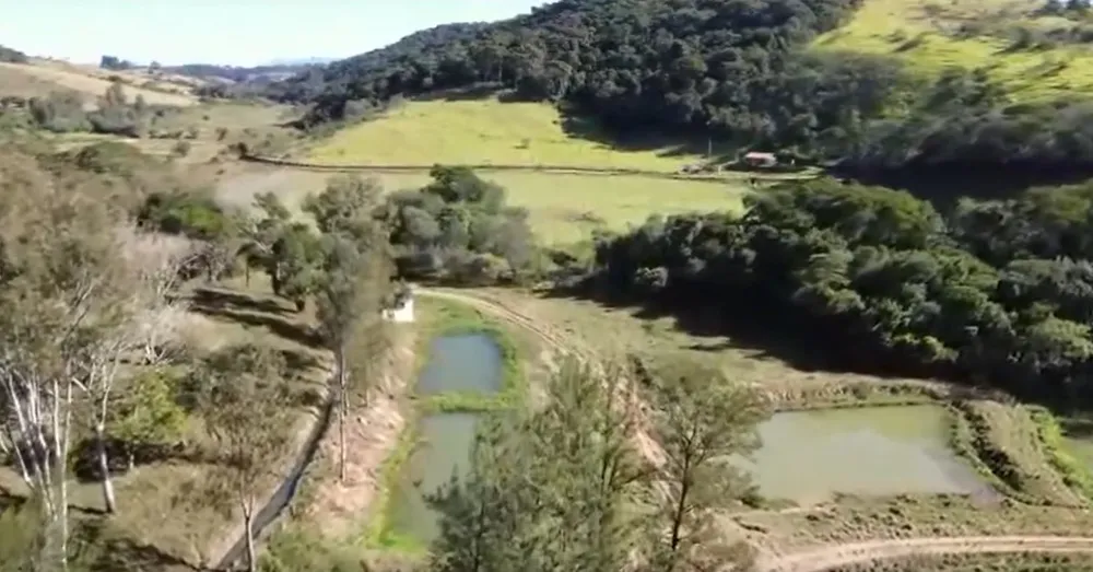 Fazenda, 327 hectares - Foto 3