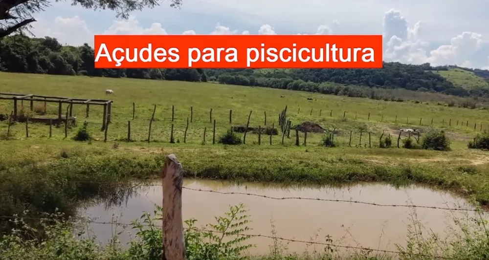 Fazenda, 327 hectares - Foto 5