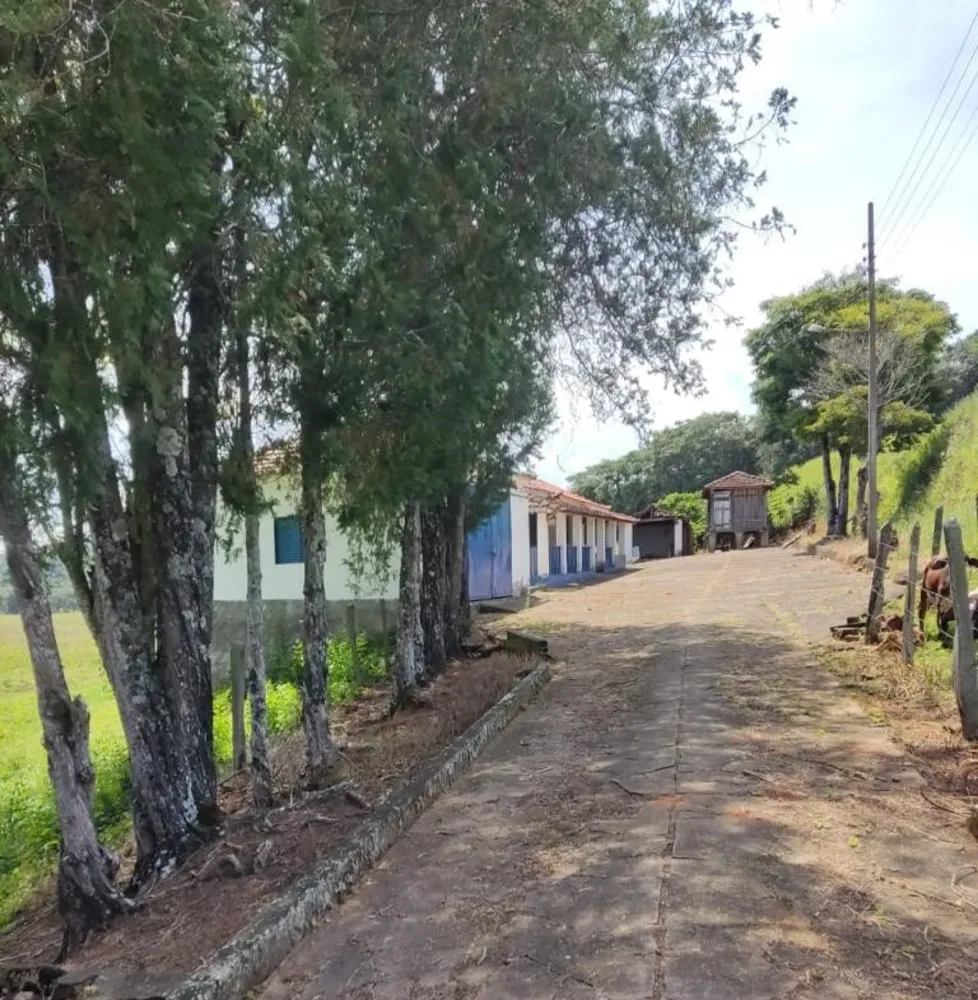 Fazenda, 327 hectares - Foto 11