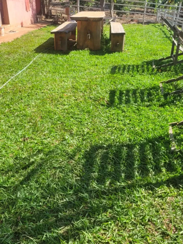 Chácara, 3 quartos - Foto 6