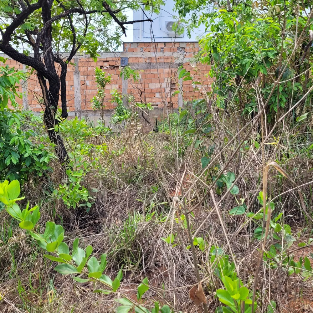Terreno, 360 m² - Foto 6