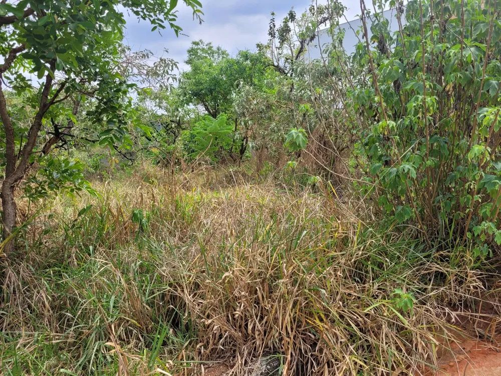 Terreno, 360 m² - Foto 3