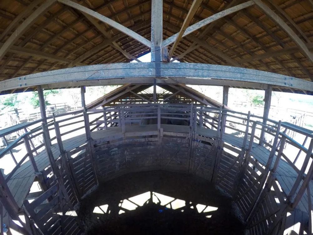 Fazenda, 1480 hectares - Foto 11