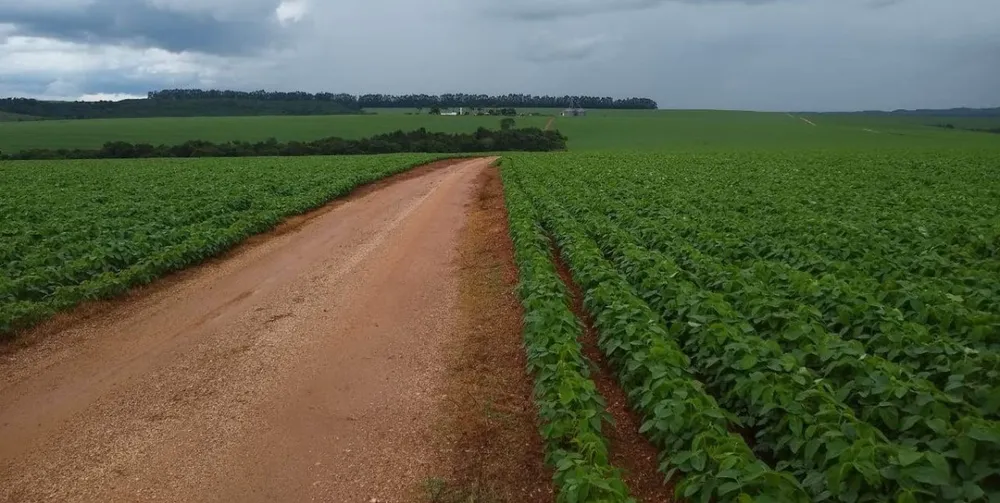 Fazenda, 1480 hectares - Foto 4