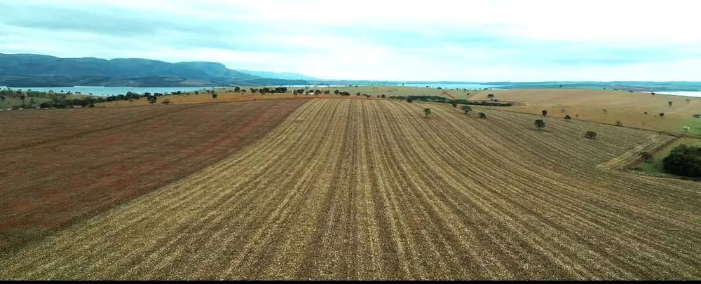 Fazenda, 1480 hectares - Foto 1