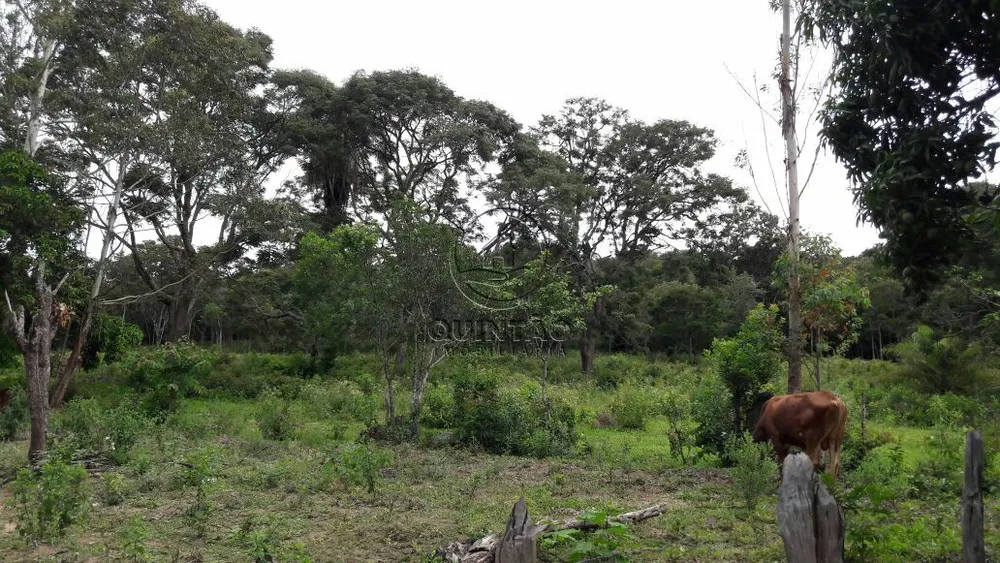 Terreno, 320000 m² - Foto 4