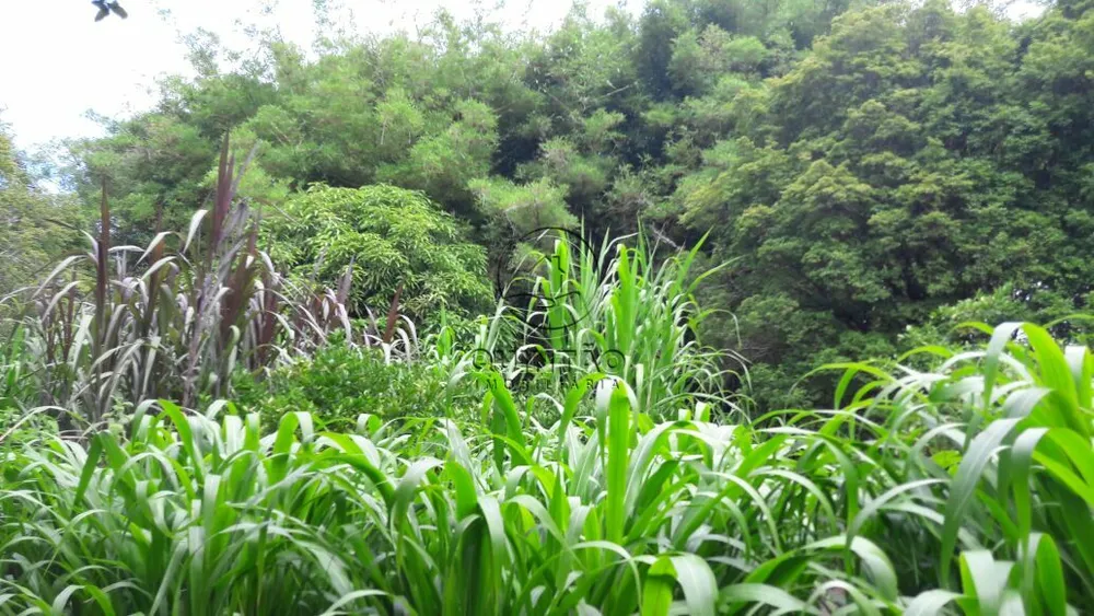 Terreno, 320000 m² - Foto 6